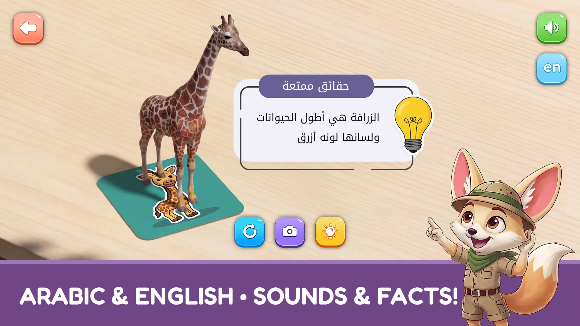 Bilingual learning content in the Fenki AR flashcard experience.